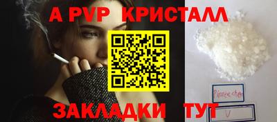крисы Кунгур