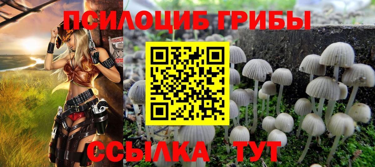 Еманжелинск  Псилоцибиновые грибы ЛСД  Псилоцибиновые грибы Cubensis  Вход с VPN 